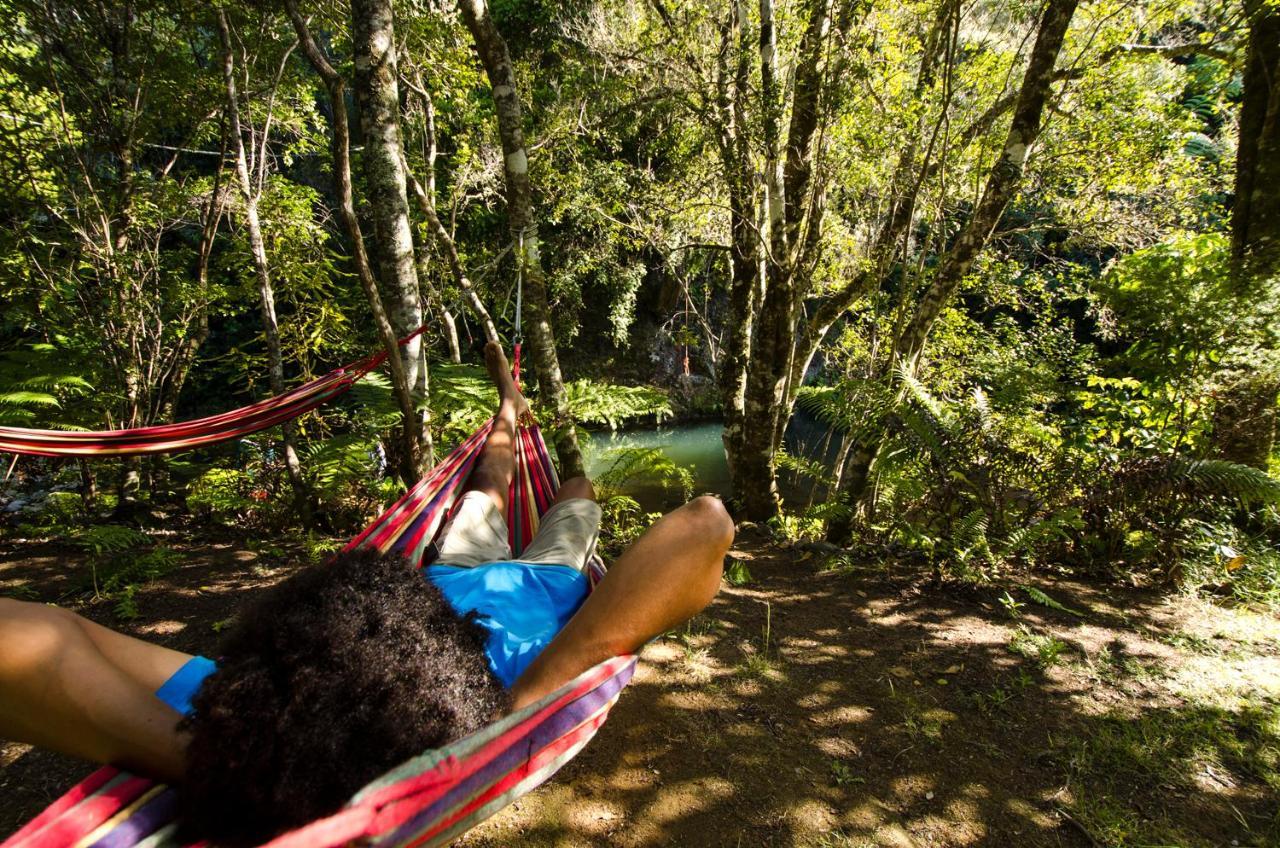 Wairua - Rainforest River Retreat