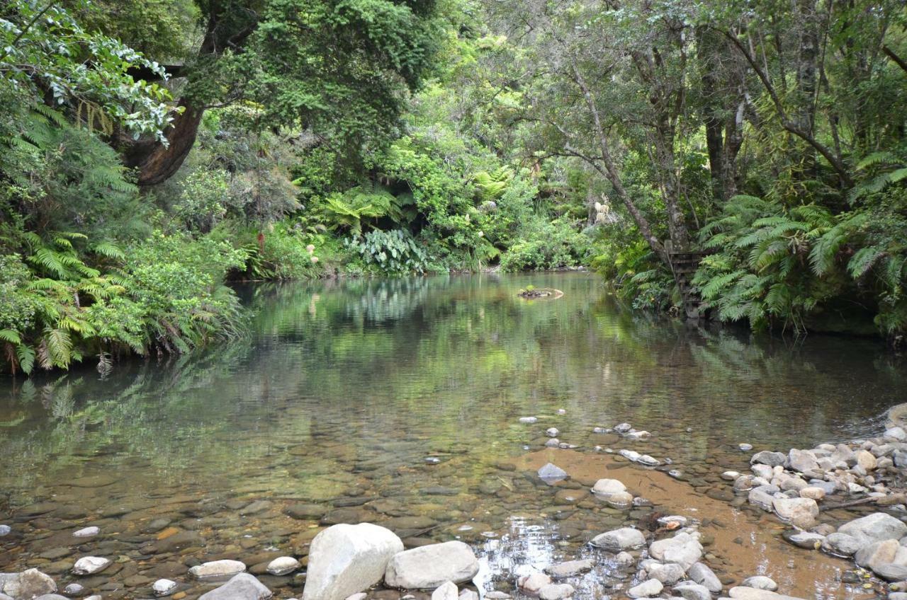 Lodge Wairua - Rainforest River Retreat Whitianga